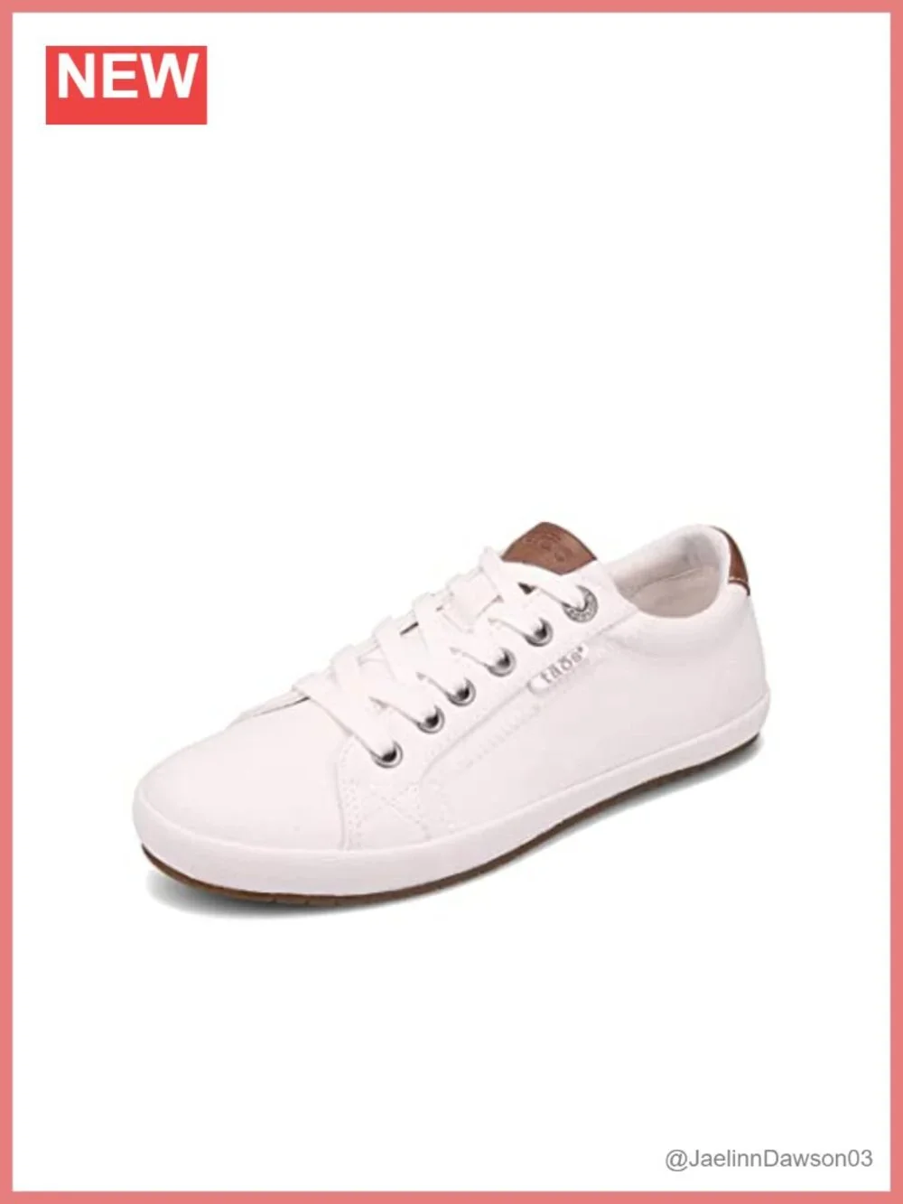 Canvas Lace Up Fashion Sneaker - Low Top Comfort
